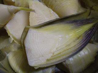 IMGP80141.jpg