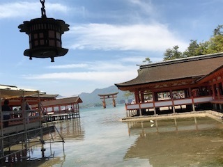 IMG_2882.jpg