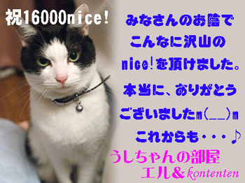 so-net62152-21584.jpg